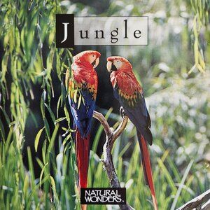 Jungle 1989 CD Natural Wonders World Disc Nature Sounds